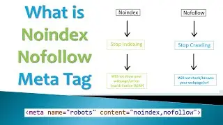 What is Noindex Nofollow Meta Tag in SEO | A Complete Guide