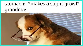 r/WholesomeMemes | Best Memes On The Internet