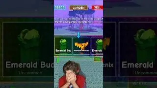 Rainbow Phoenix of the Valuable Channel.. 🥲 | Fixai 