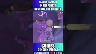Destroy the Barrier Genshin Impact Tanuki-Bayashi in the Forest 