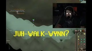 NEW DAGANNOTH KINGS META !? (Twitch Stream Highlights)