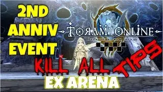 EX ARENA How To Deal With It! - Toram Online