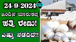 24-9-2024 l Today cotton prices in Karnataka l ಹತ್ತಿ ಗರಿಷ್ಠ ಬೆಲೆ ಎಷ್ಟು? #cottonprice ‎@BealertJob