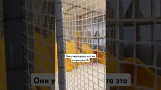 Мы были в шоке 🙀 от того, что произошло в конце