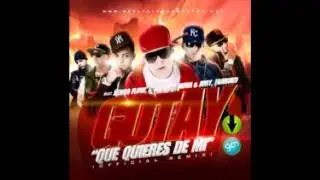 Que Quieres De Mi (Official Remix)2011.wmv
