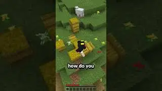 Minecraft but I can't break the law