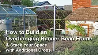 How to Build an Overhanging Runner Bean Frame | Stack your Space with Additional Crops!