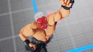 STREET FIGHTER V DAN VS KAGE
