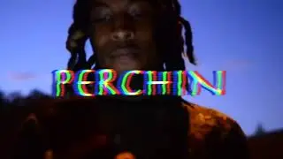 Chris Travis - Perchin (Acapella)