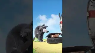 Kiedy oglądasz w sieci filmiki kulinarne 🥕  