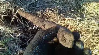 металлоискатель пират/коп на старом месте.