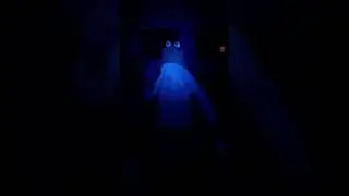 3am frog pt1