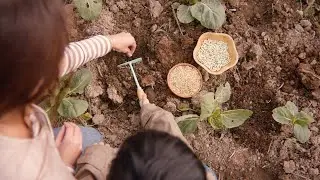 携手走向可持续的未来