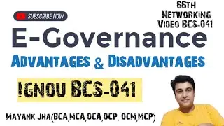Electronic Governance In Hindi | Advantage And Disadvantage Of E Governance | e governance | BCS41