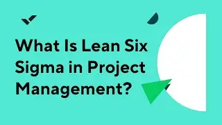 What Is Lean Six Sigma in Project Management?