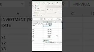 NPV (Net Present Value) - Excel