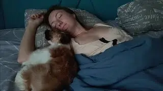 Доброе утро, завтрак и триммер для сада 