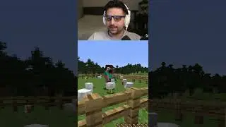 which chicken am i 