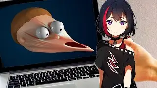 Morty Wants 2D Girls