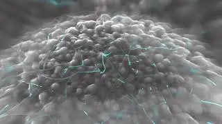 Graphene nanotubes for next-gen batteries