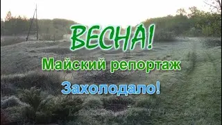 ВЕСНА.  Майский  репортаж. 3 мая захолодало!