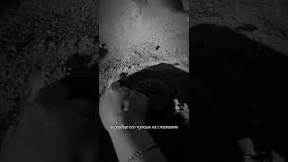 Поэзия Стихи Проза Музыка Релакс | Красивые Видео 