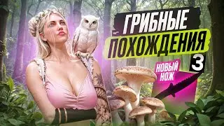 #3 ВЫГОДЕН ЛИ СТАЛЬНОЙ НОЖ? | ГРИБНЫЕ ПОХОЖДЕНИЯ В GTA 5 RP | MAJESTIC RP