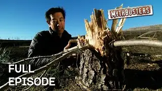 Chopping A Tree With A Dynamite Axe! | MythBusters | Season 8 Episode 2 | Full Episode