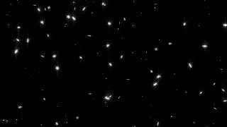 falling snowflakes overlay 4k ( Snow fall black screen & green screen )