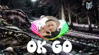 OK GO (Remix 2023)