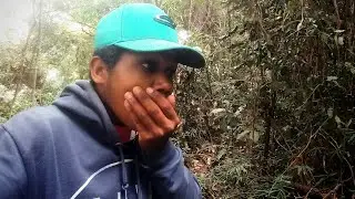 Entrei na mata fechada que tinha muita macumba