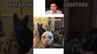 Школомемы. Пришел на урок в одних трусах 