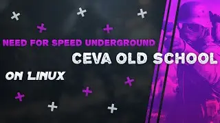 Need For Speed Underground Fedora Linux 37 Lutris+GE Wine