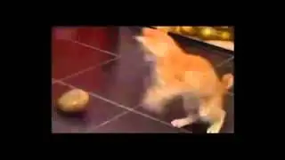 Как так что вода течет вверх!