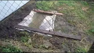 Гуси. начало.