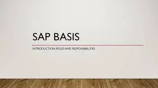 Introduction to SAP BASIS