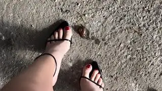 Watch out down there snail! 