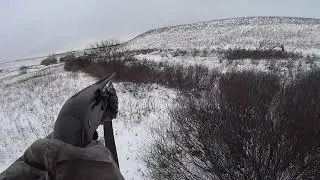 #охота