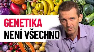 Je rychlý metabolismus opravdu vrozený?