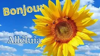 BONJOUR Alléluia !🌻 Bonne Journée !