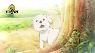 PARASYTE ep-24[part-10/10] || FreeAnimeTV