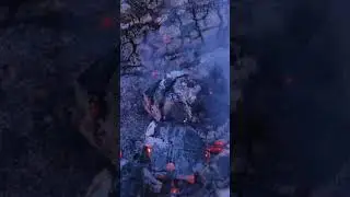 Fire hardening a Birch Longbow