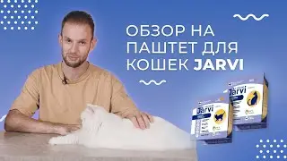 Паштеты для кошек Jarvi