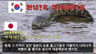 일본 하천을 초토화 시킨 외래종 5대천왕