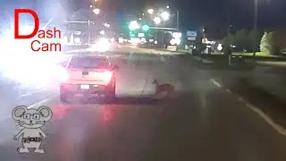 Fawn vs Truck in 8K