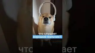 ЧТО СЛУШАЕТ ХОРОШИЙ МАЛЬЧИК? #сотка #математика #егэ #егэ2024 #векторы