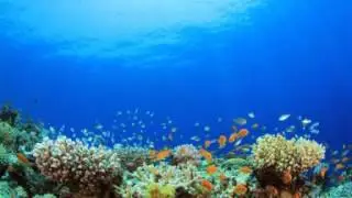 Spooky Sound From 11km deep ocean