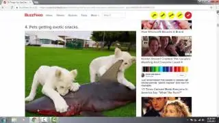 How to Convert and Save WEBP Files into JPEG Format