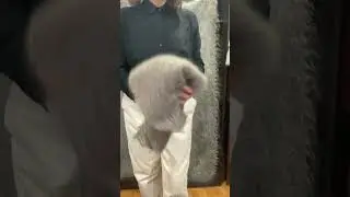 Пуховый жилет- паутинка Козий пух, шелк. Ручная работа. Закрепл. комментарии.