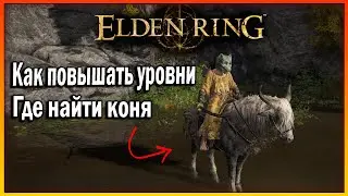 ELDEN RING КАК ПОЛУЧИТЬ КОНЯ И ГДЕ ПРОКАЧИВАТЬ УРОВНИ